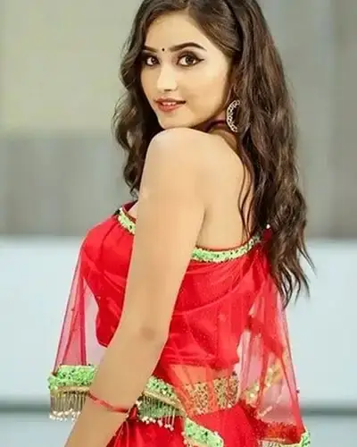 Call Girls Service Najibabad